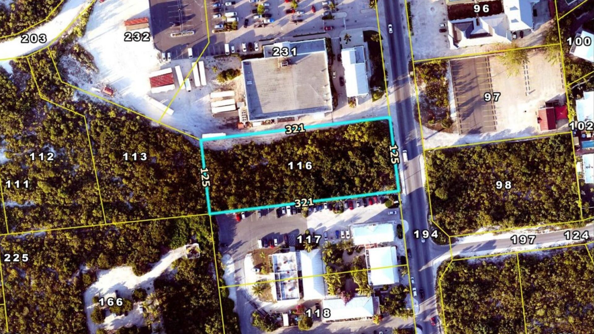 The cadastral plan with Parcel 116 outlined